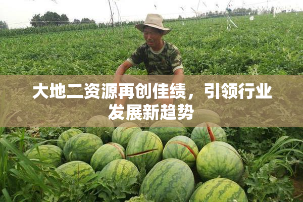大地二资源再创佳绩，引领行业发展新趋势