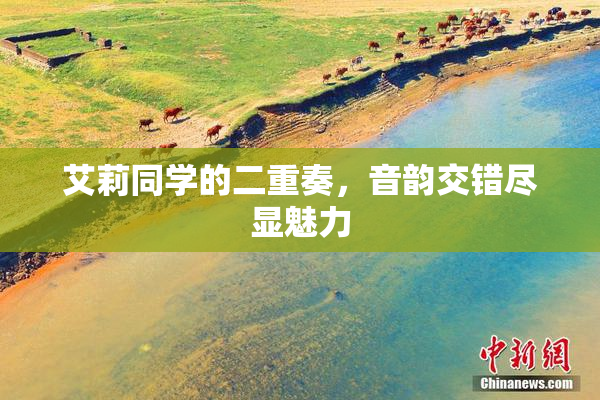 艾莉同学的二重奏，音韵交错尽显魅力