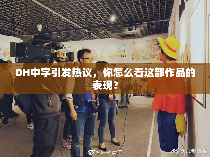 DH中字引发热议，你怎么看这部作品的表现？