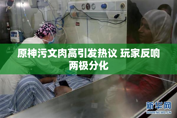原神污文肉高引发热议 玩家反响两极分化