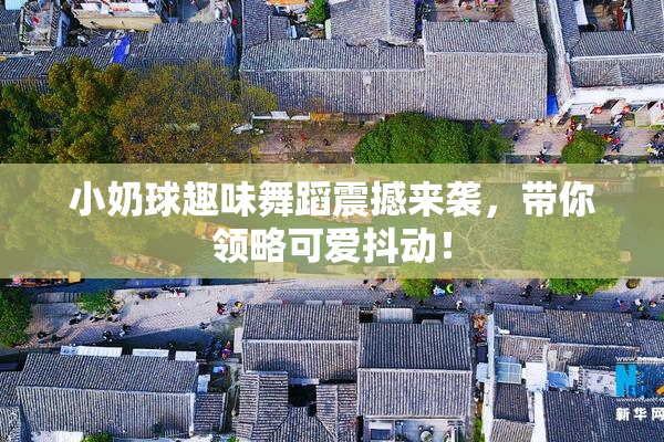 小奶球趣味舞蹈震撼来袭，带你领略可爱抖动！