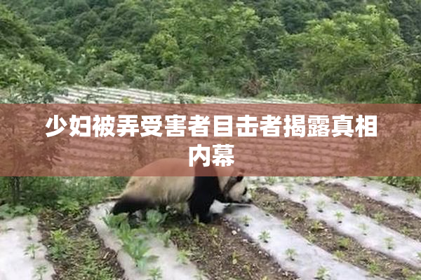 少妇被弄受害者目击者揭露真相内幕