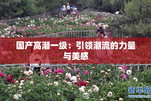 国产高潮一级：引领潮流的力量与美感