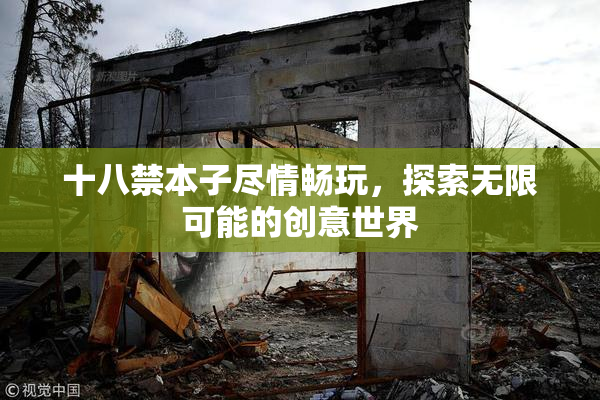 十八禁本子尽情畅玩，探索无限可能的创意世界