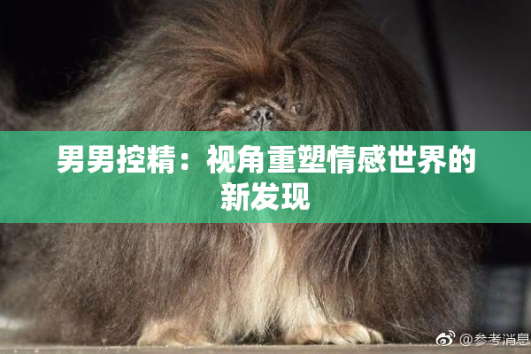 男男控精：视角重塑情感世界的新发现