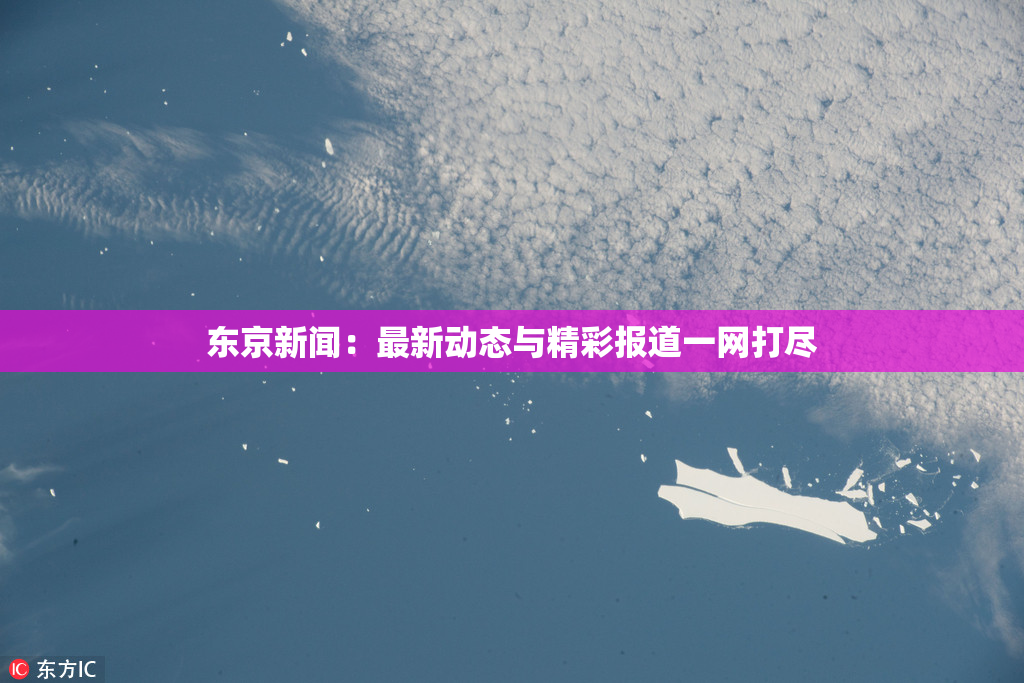 东京新闻：最新动态与精彩报道一网打尽