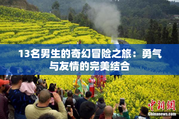 13名男生的奇幻冒险之旅：勇气与友情的完美结合