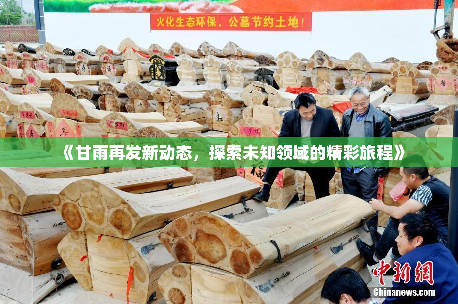《甘雨再发新动态，探索未知领域的精彩旅程》