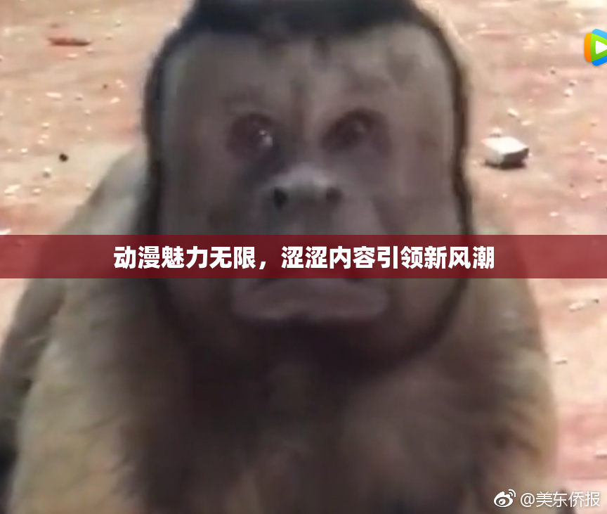 动漫魅力无限，涩涩内容引领新风潮