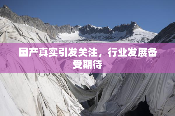 国产真实引发关注，行业发展备受期待