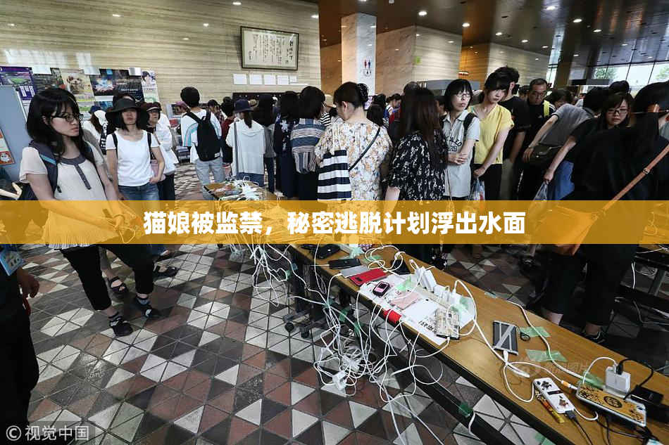 猫娘被监禁，秘密逃脱计划浮出水面