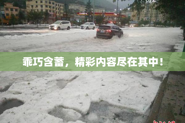 乖巧含蓄，精彩内容尽在其中！