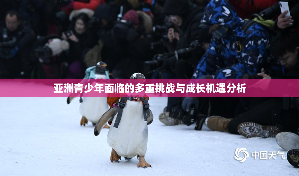 亚洲青少年面临的多重挑战与成长机遇分析