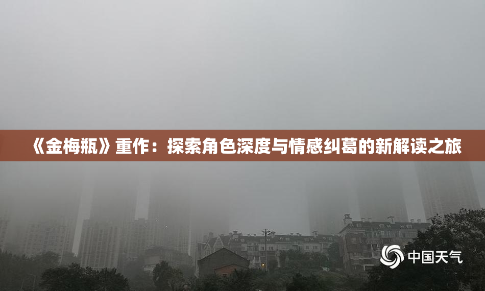 《金梅瓶》重作：探索角色深度与情感纠葛的新解读之旅