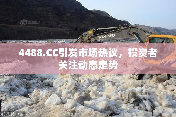 4488.CC引发市场热议，投资者关注动态走势