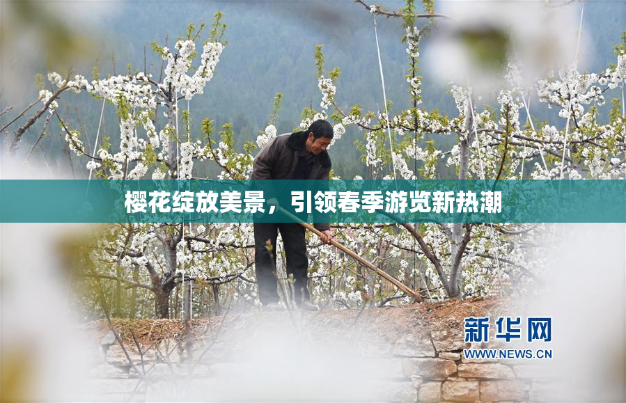 樱花绽放美景，引领春季游览新热潮