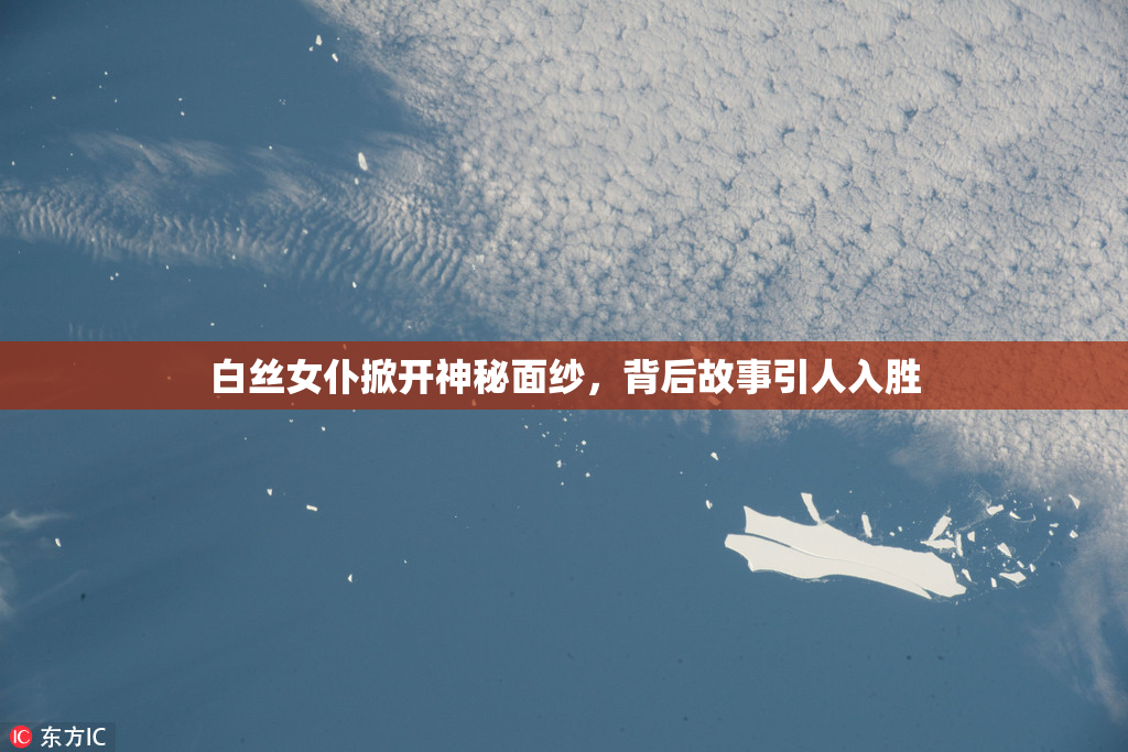 白丝女仆掀开神秘面纱，背后故事引人入胜