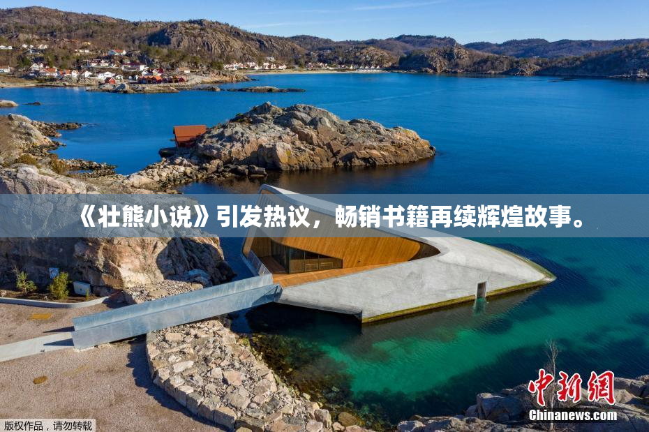 《壮熊小说》引发热议，畅销书籍再续辉煌故事。