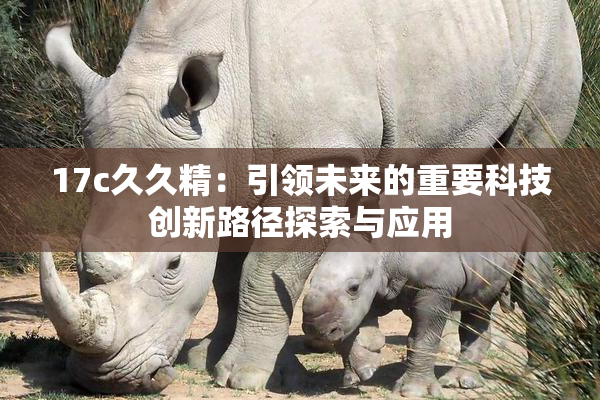 17c久久精：引领未来的重要科技创新路径探索与应用