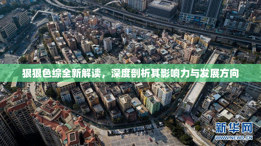 狠狠色综全新解读，深度剖析其影响力与发展方向