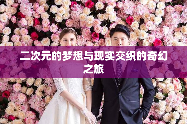 二次元的梦想与现实交织的奇幻之旅