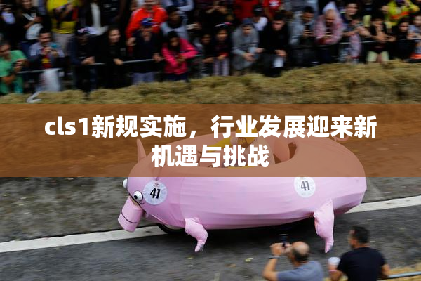 cls1新规实施，行业发展迎来新机遇与挑战