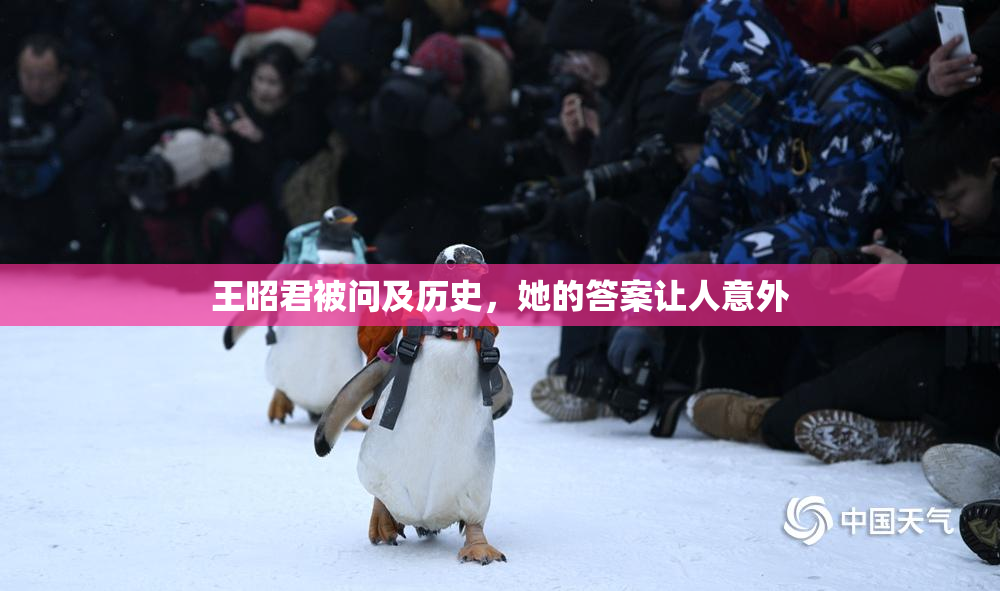 王昭君被问及历史，她的答案让人意外
