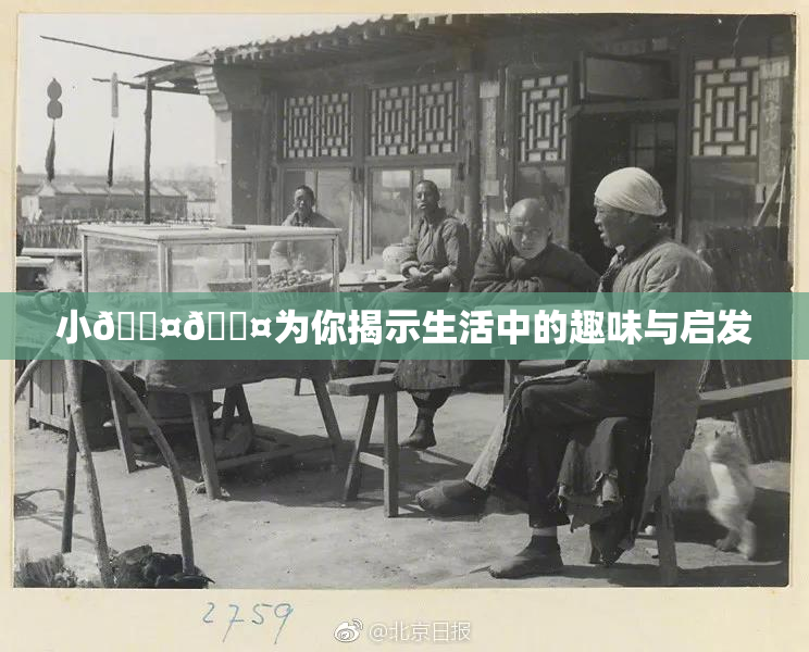 小🐤🐤为你揭示生活中的趣味与启发