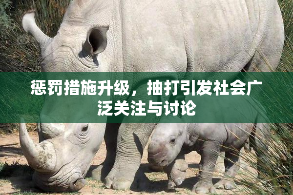 惩罚措施升级，抽打引发社会广泛关注与讨论
