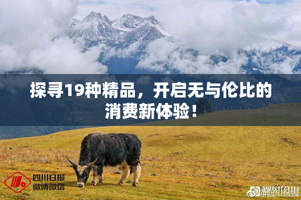 探寻19种精品，开启无与伦比的消费新体验！