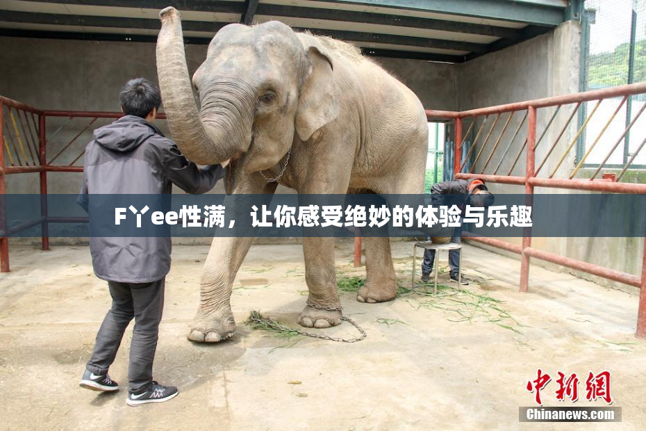 F丫ee性满，让你感受绝妙的体验与乐趣