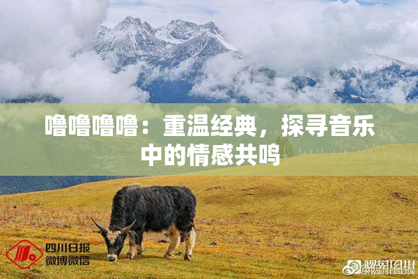 噜噜噜噜：重温经典，探寻音乐中的情感共鸣