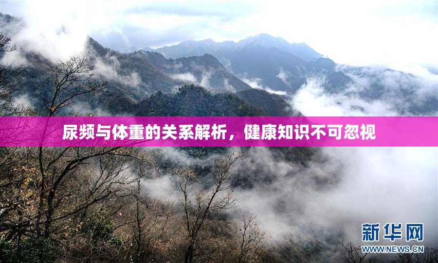 尿频与体重的关系解析，健康知识不可忽视