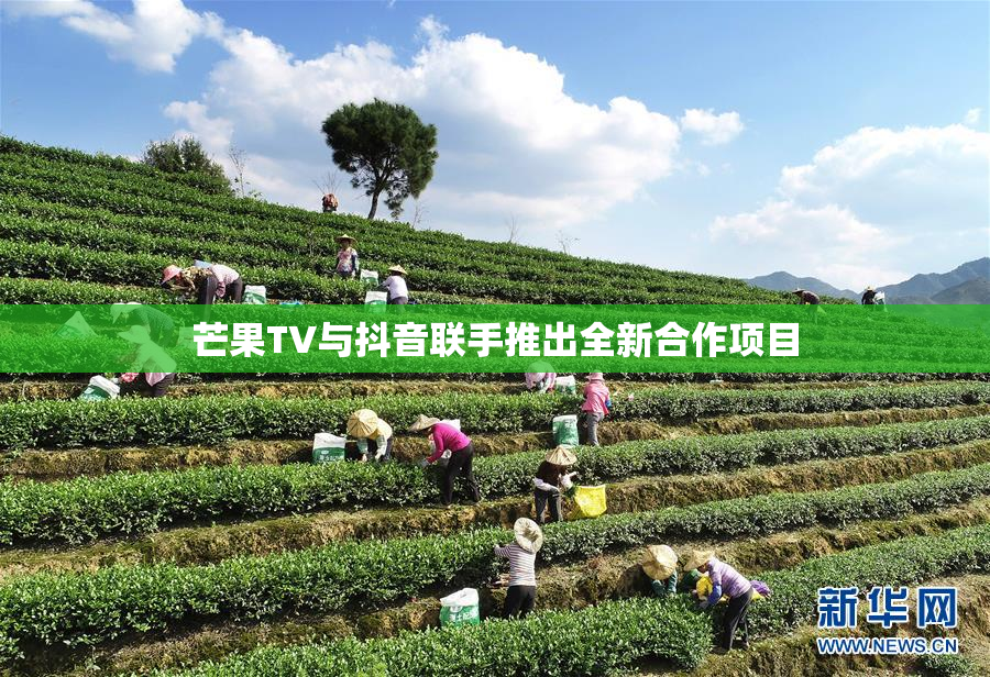 芒果TV与抖音联手推出全新合作项目