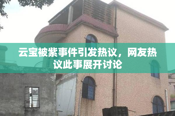 云宝被紫事件引发热议，网友热议此事展开讨论