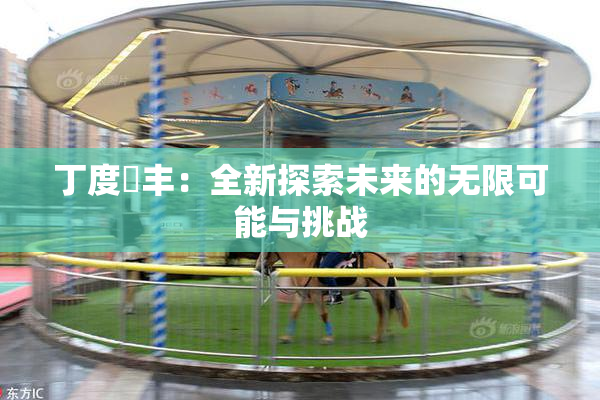 丁度巜丰：全新探索未来的无限可能与挑战