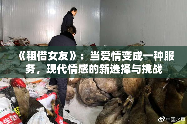 《租借女友》：当爱情变成一种服务，现代情感的新选择与挑战