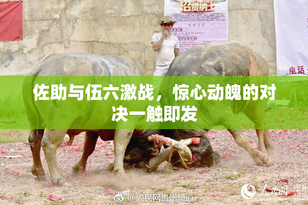 佐助与伍六激战，惊心动魄的对决一触即发