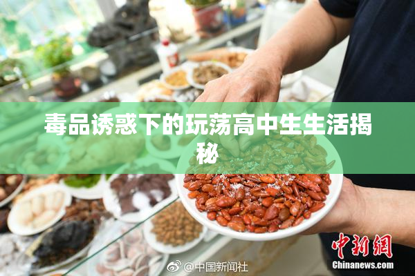 毒品诱惑下的玩荡高中生生活揭秘
