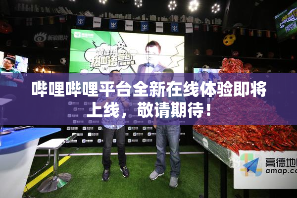 哔哩哔哩平台全新在线体验即将上线，敬请期待！