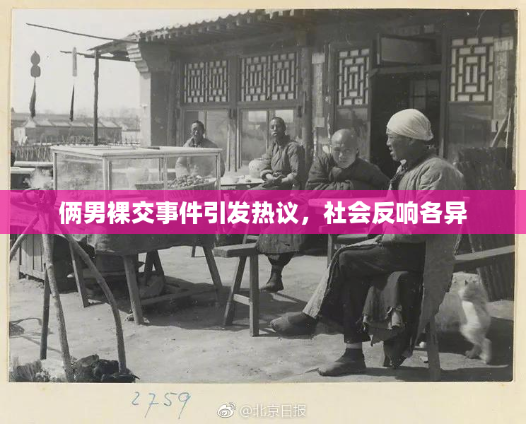 俩男裸交事件引发热议，社会反响各异
