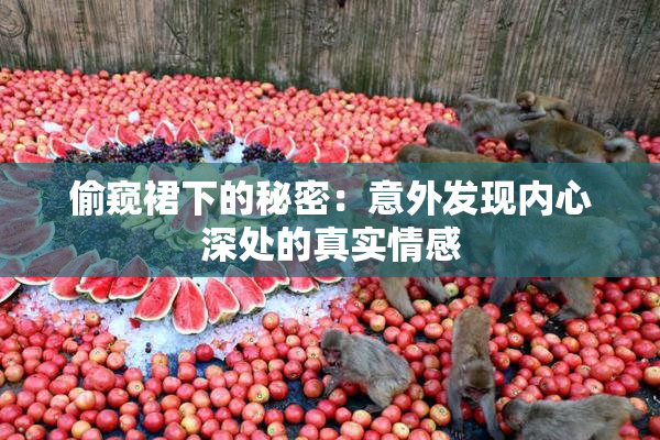 偷窥裙下的秘密：意外发现内心深处的真实情感