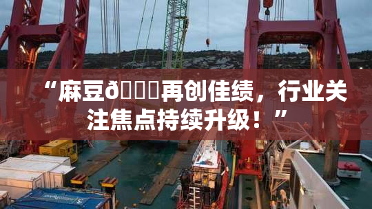 “麻豆🔞再创佳绩，行业关注焦点持续升级！”