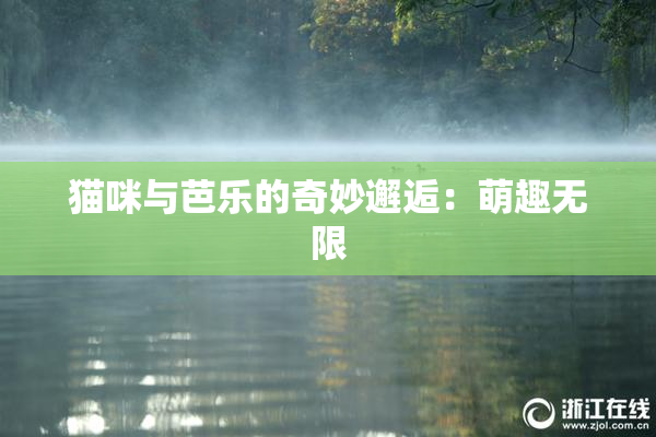 猫咪与芭乐的奇妙邂逅：萌趣无限