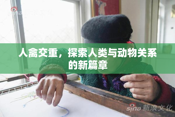 人禽交重，探索人类与动物关系的新篇章