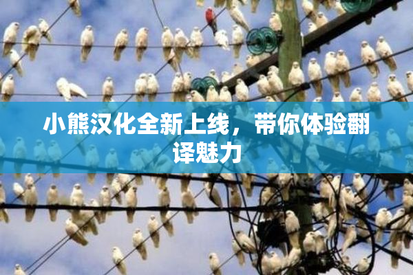 小熊汉化全新上线，带你体验翻译魅力