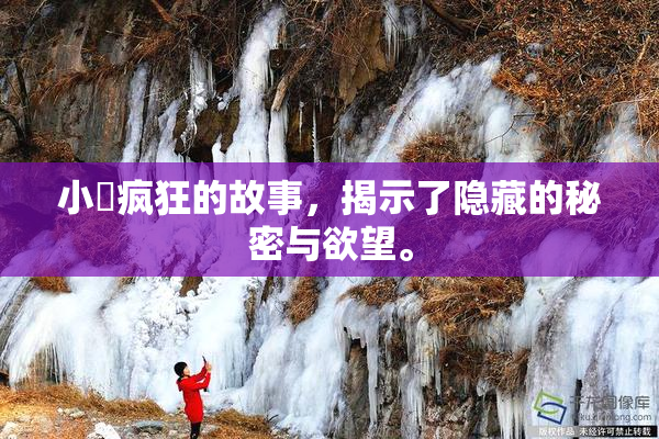 小泬疯狂的故事，揭示了隐藏的秘密与欲望。