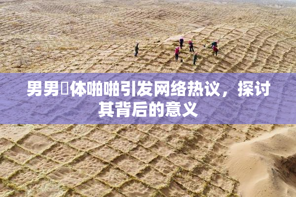 男男祼体啪啪引发网络热议，探讨其背后的意义