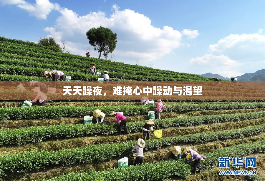 天天躁夜，难掩心中躁动与渴望