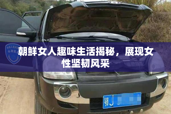朝鲜女人趣味生活揭秘，展现女性坚韧风采
